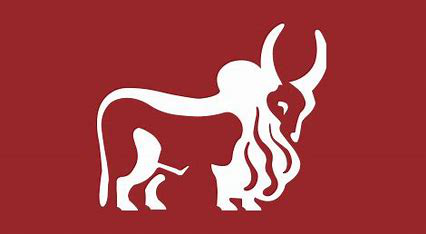 IndusInd Bank App Icon